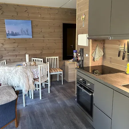 Kozy In Hemsedal, Centrally Located *