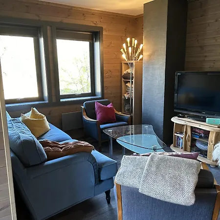 Appartamento Kozy In Hemsedal, Centrally Located
